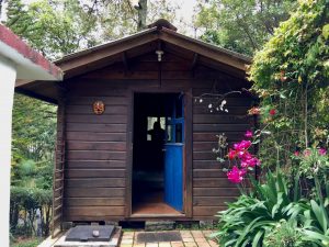 Affordable porta potty rental