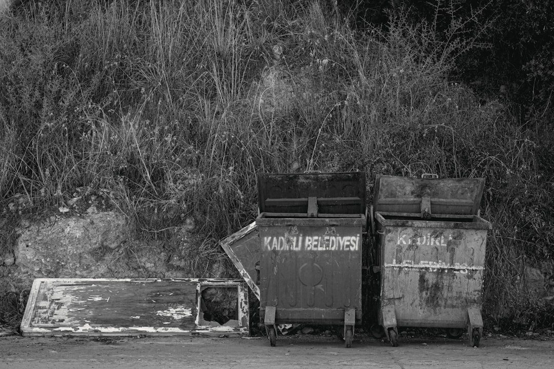 dumpster rental hutto tx
